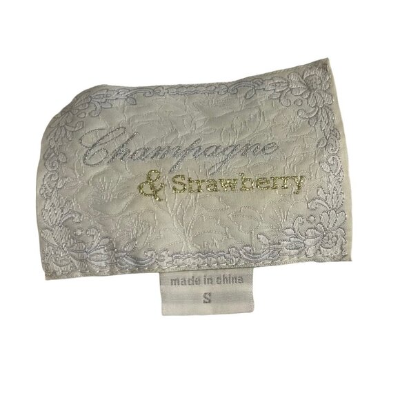 XS Champagne & Strawberry Lace Mini Dress Buttons Lined Ivory Nude Lining - Picture 10 of 11
